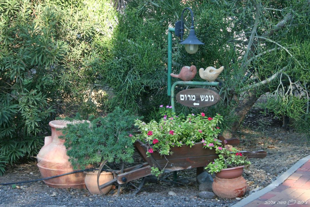 45924 החצר והבריכה, נופש מרום, צימר  במעלה גמלא צימרים - Zimer 4 U