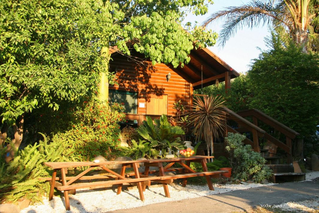 45926 החצר והבריכה, נופש מרום, צימר  במעלה גמלא צימרים - Zimer 4 U