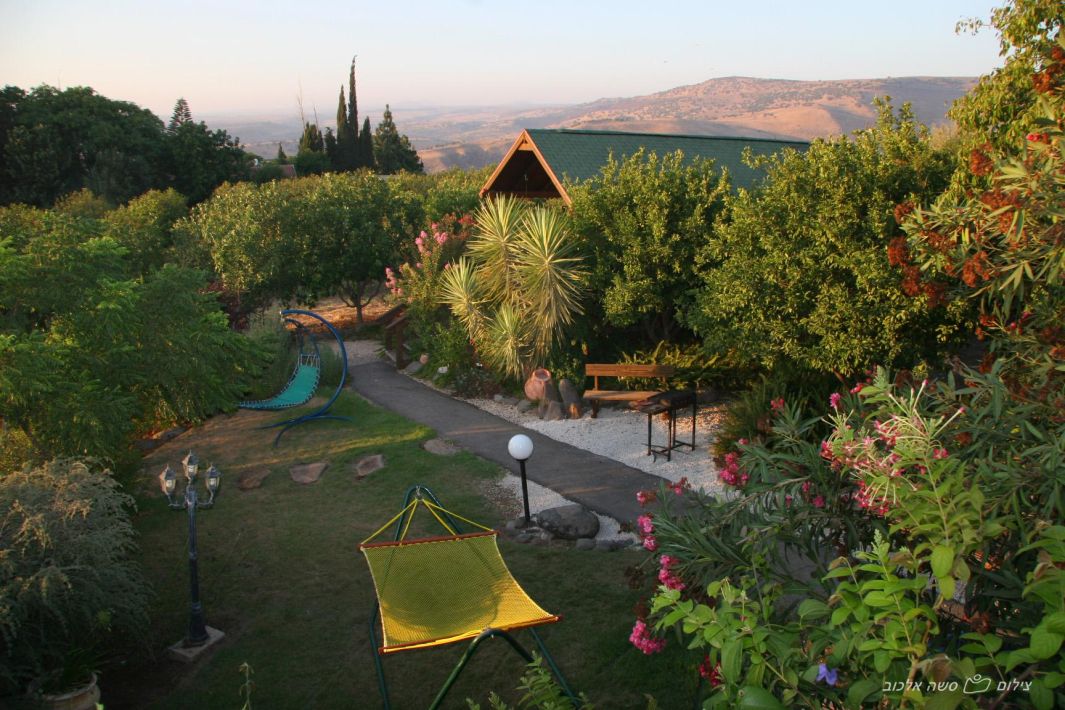 45927 החצר והבריכה, נופש מרום, צימר  במעלה גמלא צימרים - Zimer 4 U