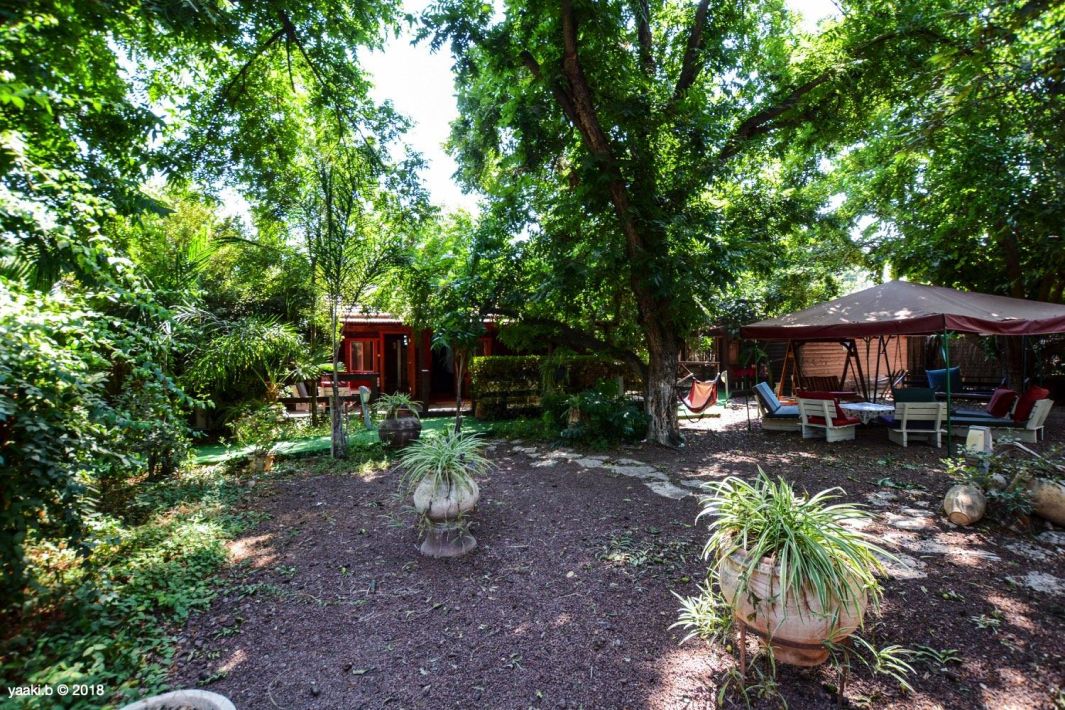 46328 גלריה כללית, כפר הנופש ויקטוריה, צימר  ביסוד המעלה צימרים - Zimer 4 U