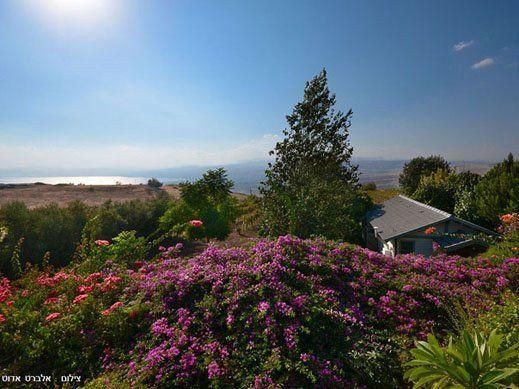 46571 שקט בענן, שקט בענן, צימר  במעלה גמלא צימרים - Zimer 4 U