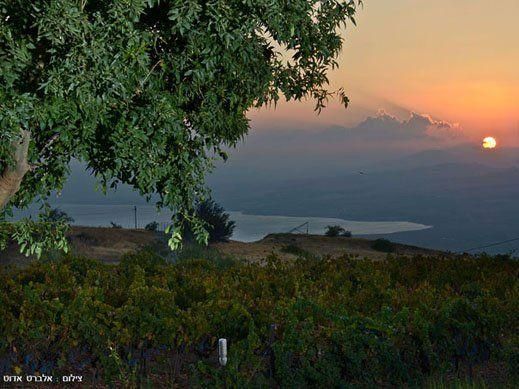 46573 שקט בענן, שקט בענן, צימר  במעלה גמלא צימרים - Zimer 4 U