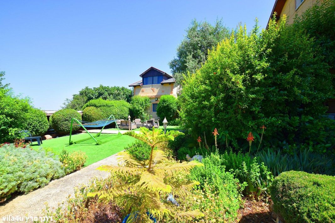 50294 גלריה כללית, אחוזת שטרן, צימר  בכרם בן זמרה צימרים - Zimer 4 U