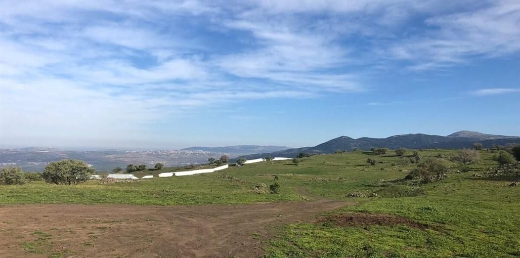 51702 כללי, למיטה הוטל - Lamita Hotel, צימר  במג'דל שמס צימרים - Zimer 4 U