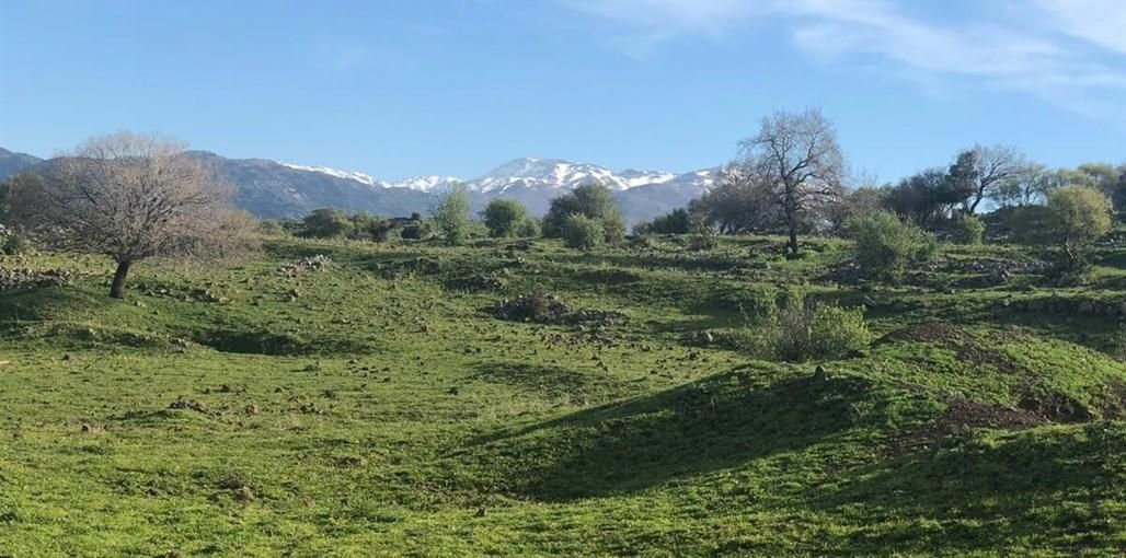 51704 כללי, למיטה הוטל - Lamita Hotel, צימר  במג'דל שמס צימרים - Zimer 4 U