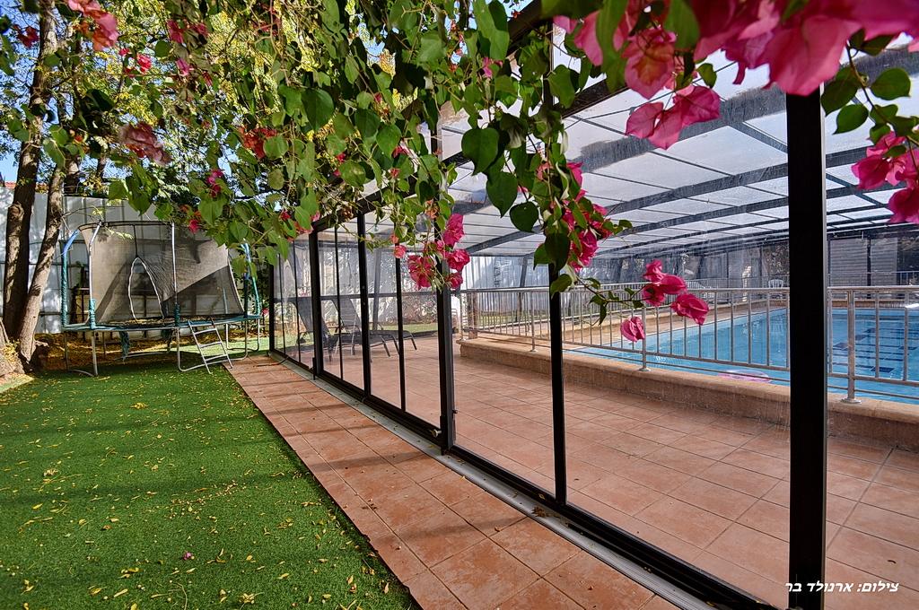 52553 חצר ובריכה, קדמת עדן, צימר  בשזור צימרים - Zimer 4 U