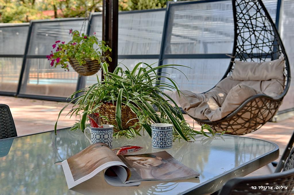 52554 חצר ובריכה, קדמת עדן, צימר  בשזור צימרים - Zimer 4 U