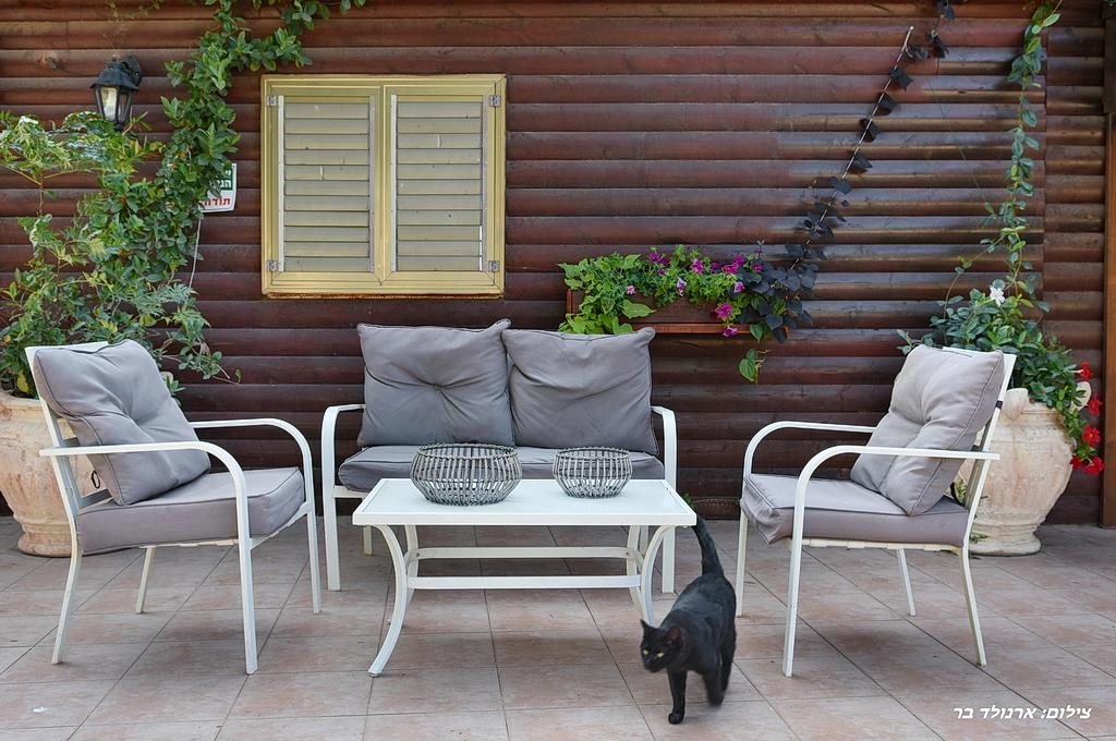 52562 חצר ובריכה, קדמת עדן, צימר  בשזור צימרים - Zimer 4 U