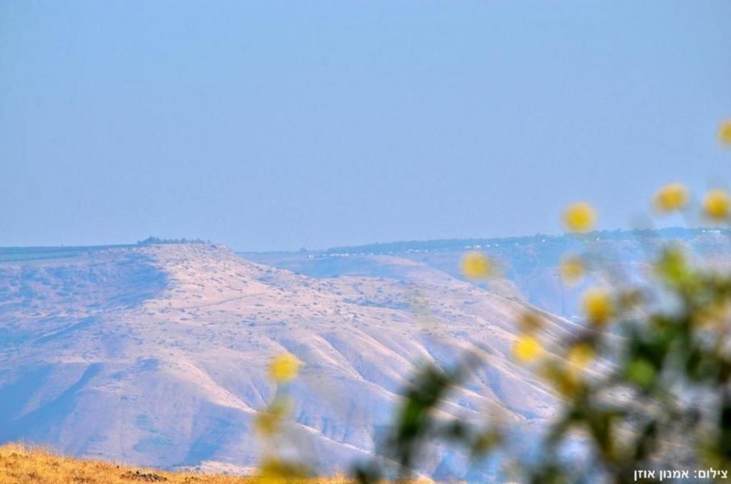 54823 פרדייז ריזורט, פרדייז ריזורט, צימר  בחד נס צימרים - Zimer 4 U