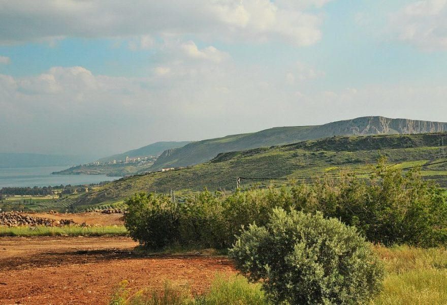 56113 גלריה כללית, אחוזת מול כנרת, צימר  בלבנים צימרים - Zimer 4 U