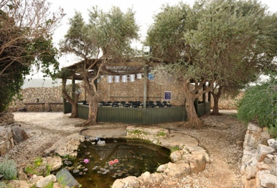 56165 גלריה כללית, נפלאות הכנרת, צימר  בכלנית צימרים - Zimer 4 U