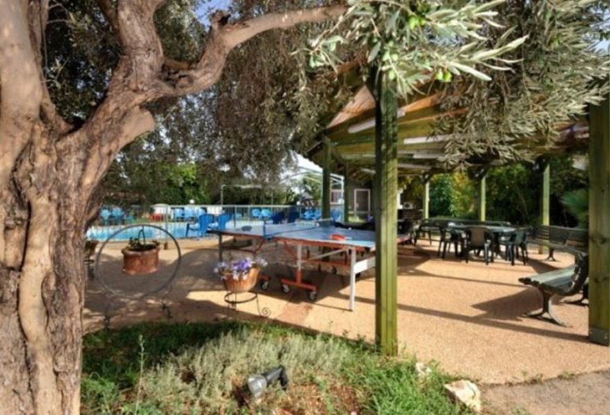 56177 גלריה כללית, נפלאות הכנרת, צימר  בכלנית צימרים - Zimer 4 U