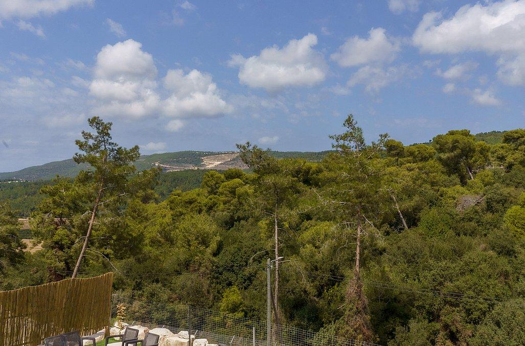 71054 גלריה כללית, The Forest - דה פורסט, צימר  ביערה צימרים - Zimer 4 U