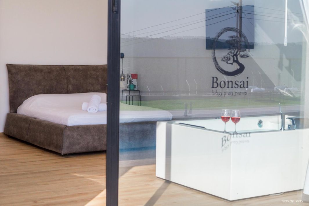 72848 גלריה כללית, בונסאי - סוויטות בוטיק בגליל, צימר  בדלתון צימרים - Zimer 4 U