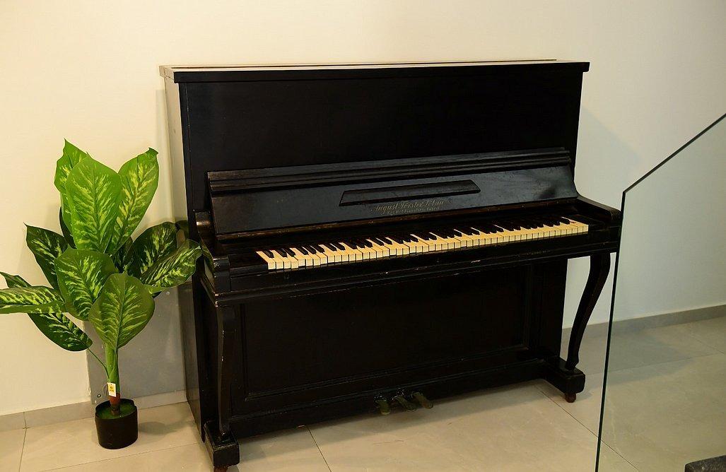 73511 גלריה כללית, אחוזת ממלכת החלומות, צימר  בעין אל אסד צימרים - Zimer 4 U