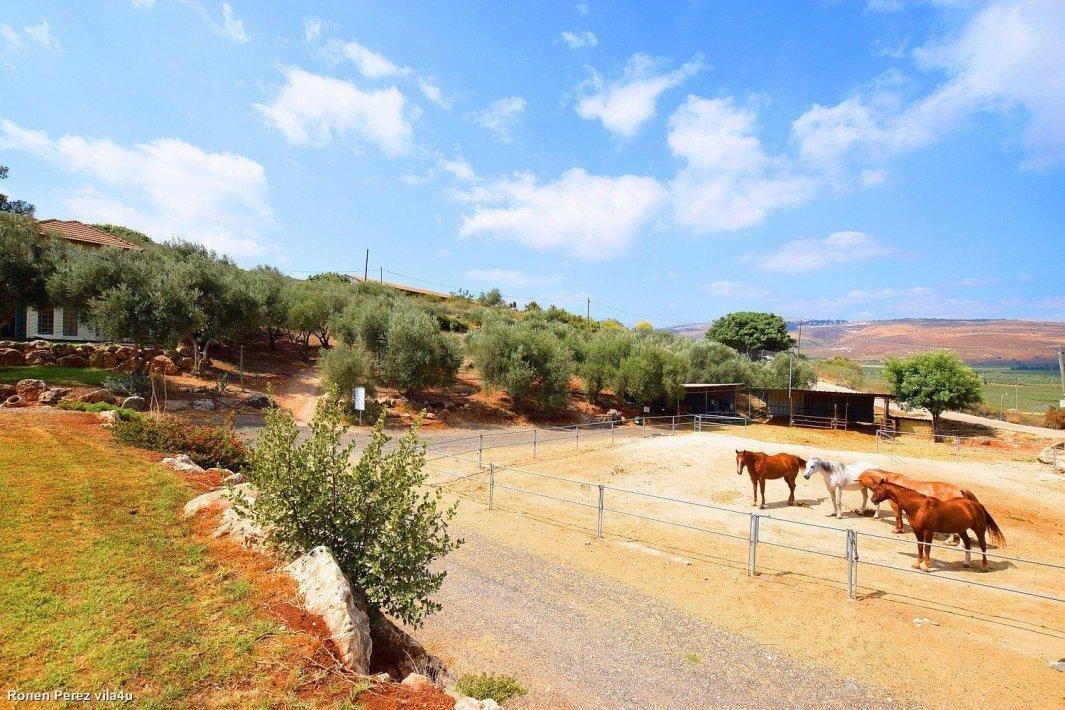 73762 כללי, נופש בהרים, צימר  ברמות נפתלי צימרים - Zimer 4 U