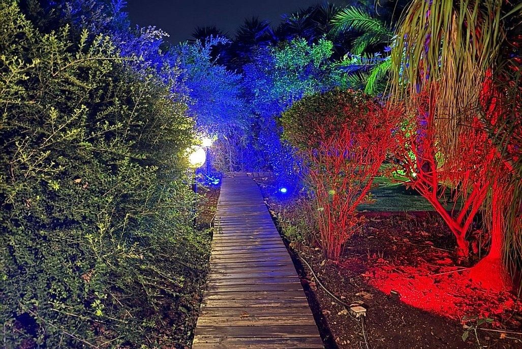 92396 מתחם חיצוני משותף, לה בריזה, צימר  באלקוש צימרים - Zimer 4 U