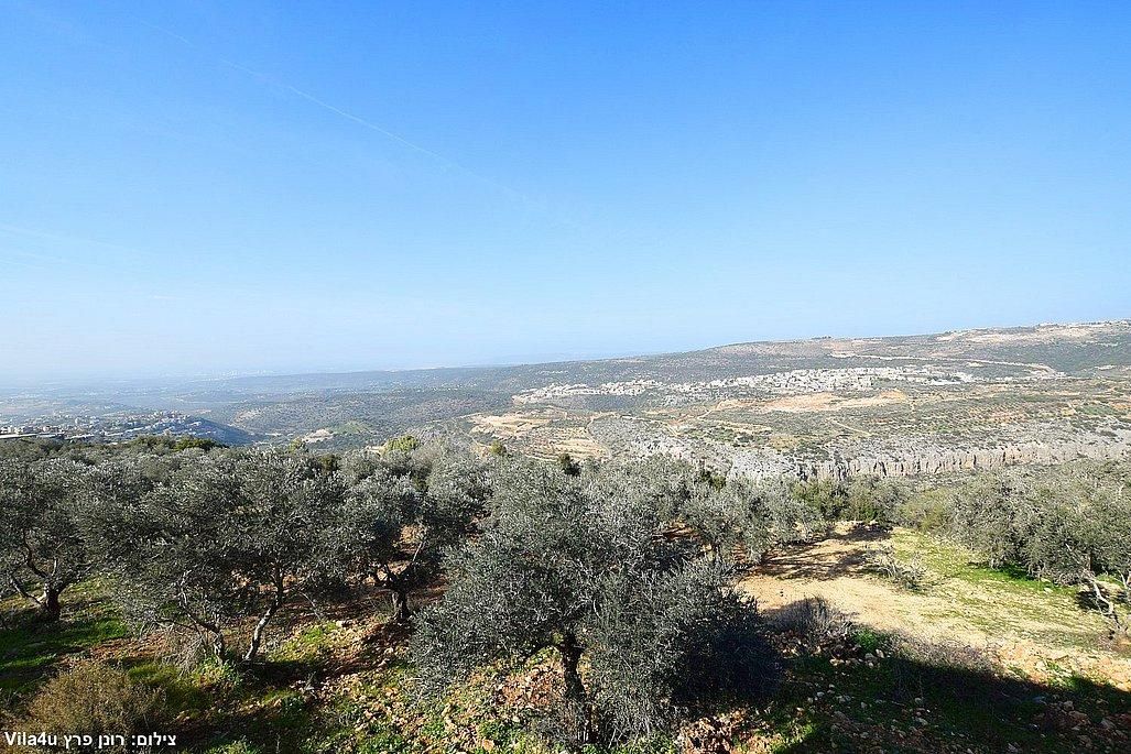 93004 מתחם חיצוני, סוויטות טרה ורדה - Terra Verde, צימר  בירכא צימרים - Zimer 4 U