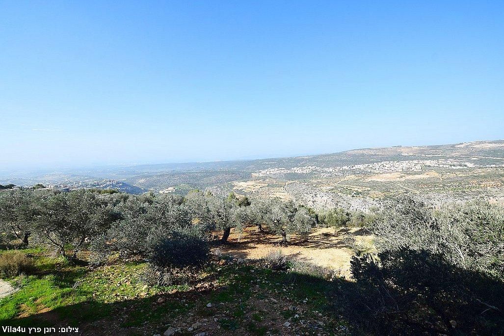 93024 מתחם חיצוני, סוויטות טרה ורדה - Terra Verde, צימר  בירכא צימרים - Zimer 4 U