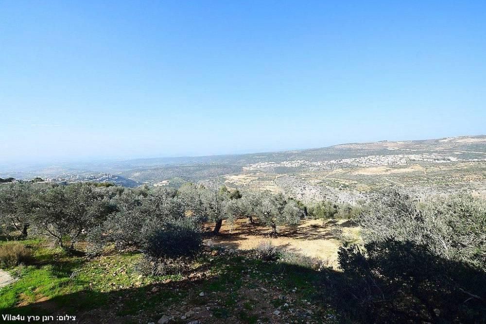 93104 גלריה כללית, סוויטות טרה ורדה - Terra Verde, צימר  בירכא צימרים - Zimer 4 U