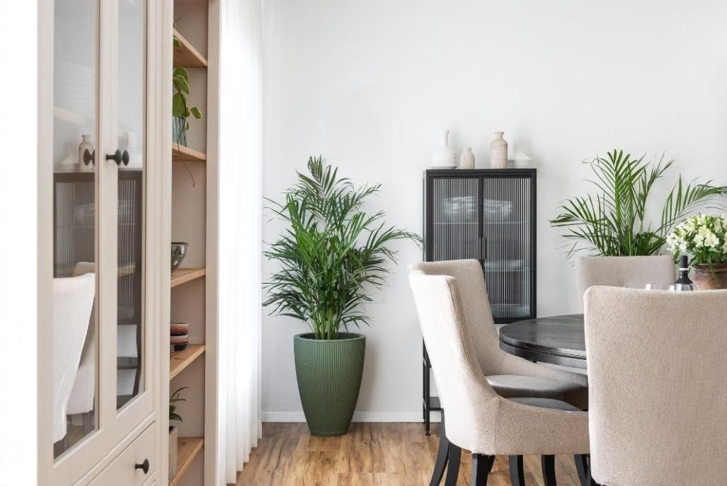 93444 פנים הסוויטות, סוויטות יוקרה מעגל השמש, צימר  בפוריה עילית צימרים - Zimer 4 U