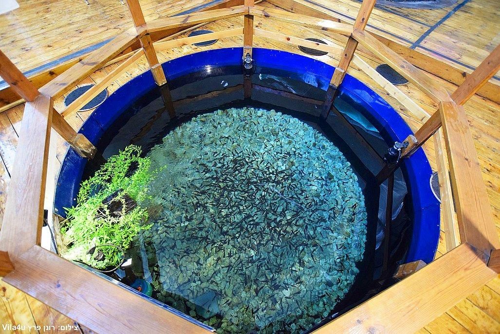 93817 מתחם הספא, ויליג קומפלקס מתחם הצימרים, צימר  בניר בנים צימרים - Zimer 4 U