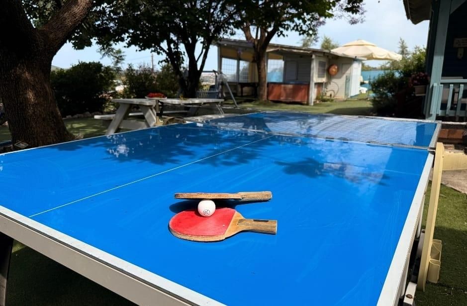 94039 מתחם חיצוני, צימרים בצל האלון, צימר  בפקיעין החדשה צימרים - Zimer 4 U