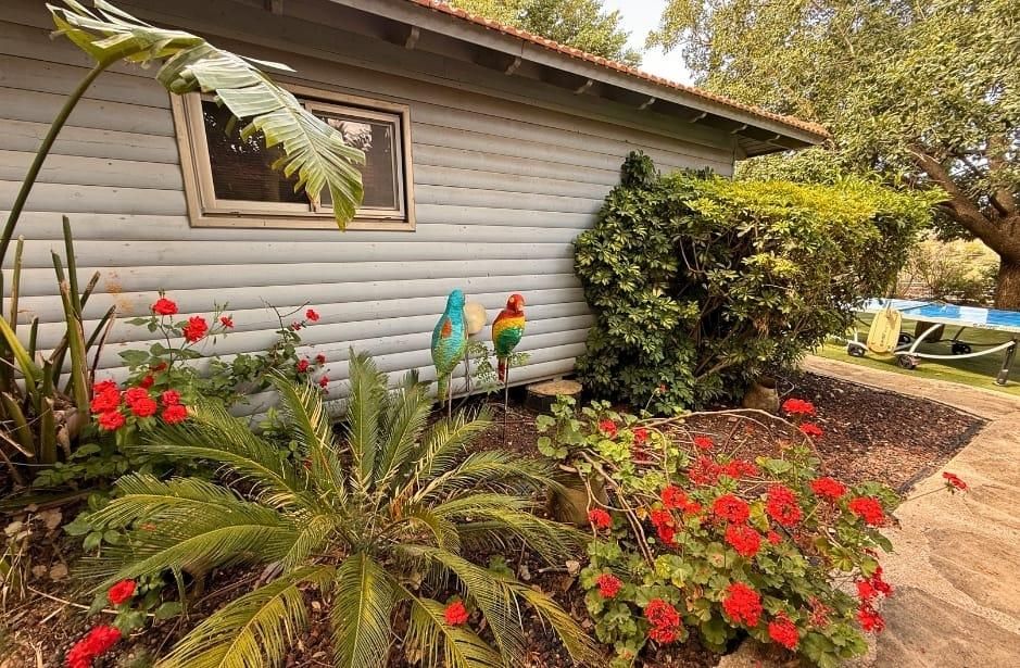 94040 מתחם חיצוני, צימרים בצל האלון, צימר  בפקיעין החדשה צימרים - Zimer 4 U