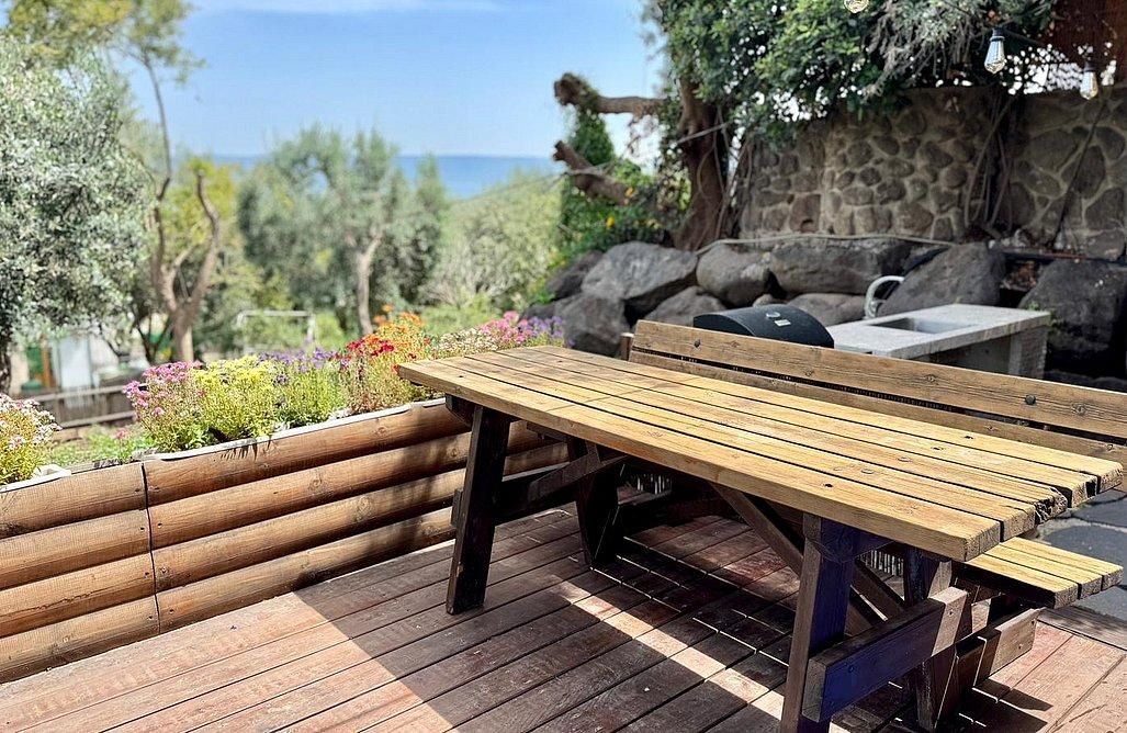 94493 גלריה כללית, צימר בקתה בזית, צימר  במגדל צימרים - Zimer 4 U