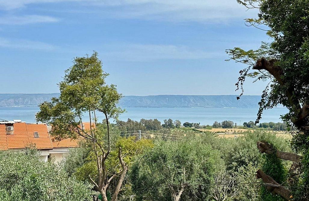 94498 גלריה כללית, צימר בקתה בזית, צימר  במגדל צימרים - Zimer 4 U