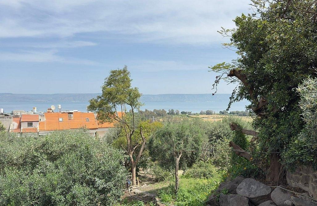 94512 גלרית חוץ, צימר בקתה בזית, צימר  במגדל צימרים - Zimer 4 U