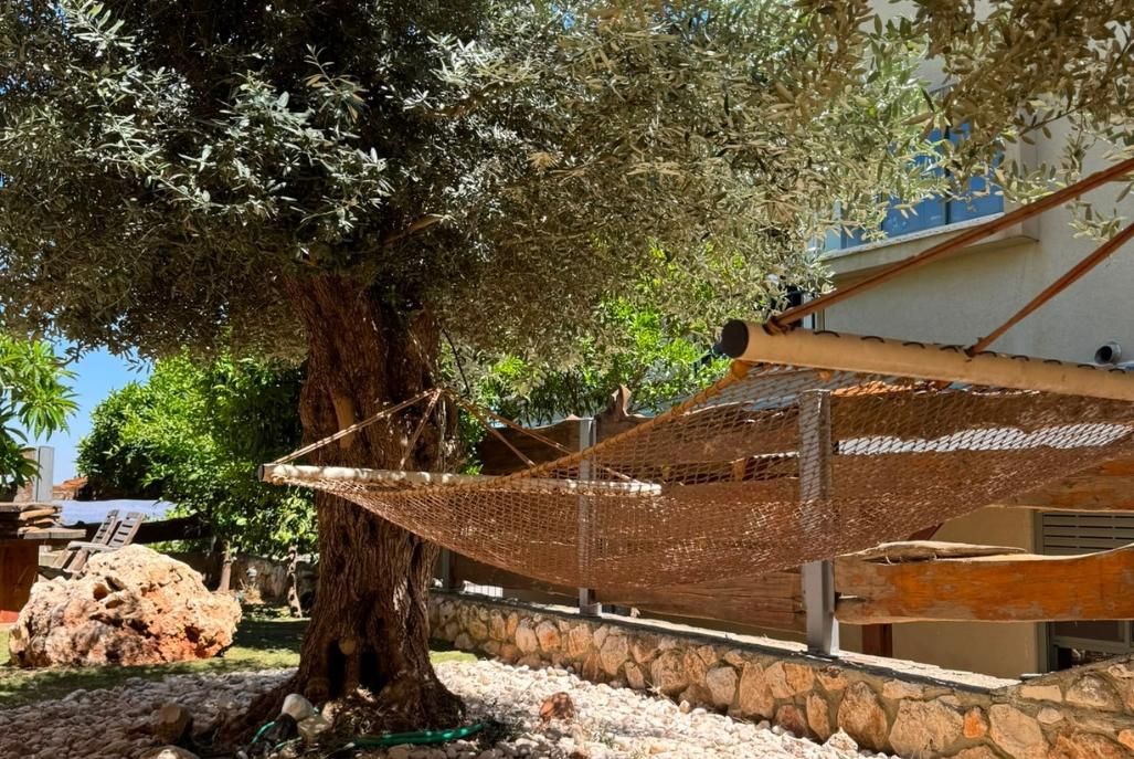 96876 גלריה כללית, אחוזת אלפנדרי, צימר  בחצור הגלילית צימרים - Zimer 4 U