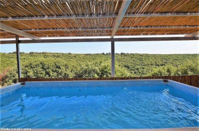 סוויטות אלסוס