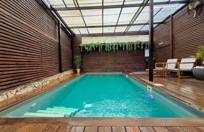 סוויטות נוף ליער