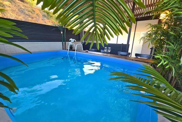 חדש באתר - בצל השקד